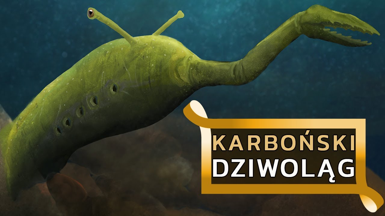 TULLIMONSTRUM - najdziwniejsze zwierzęta świata #2