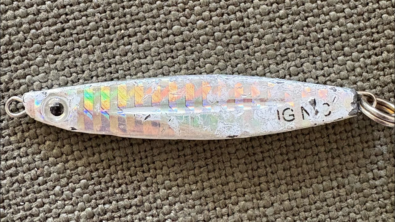 Best Fishing Lure