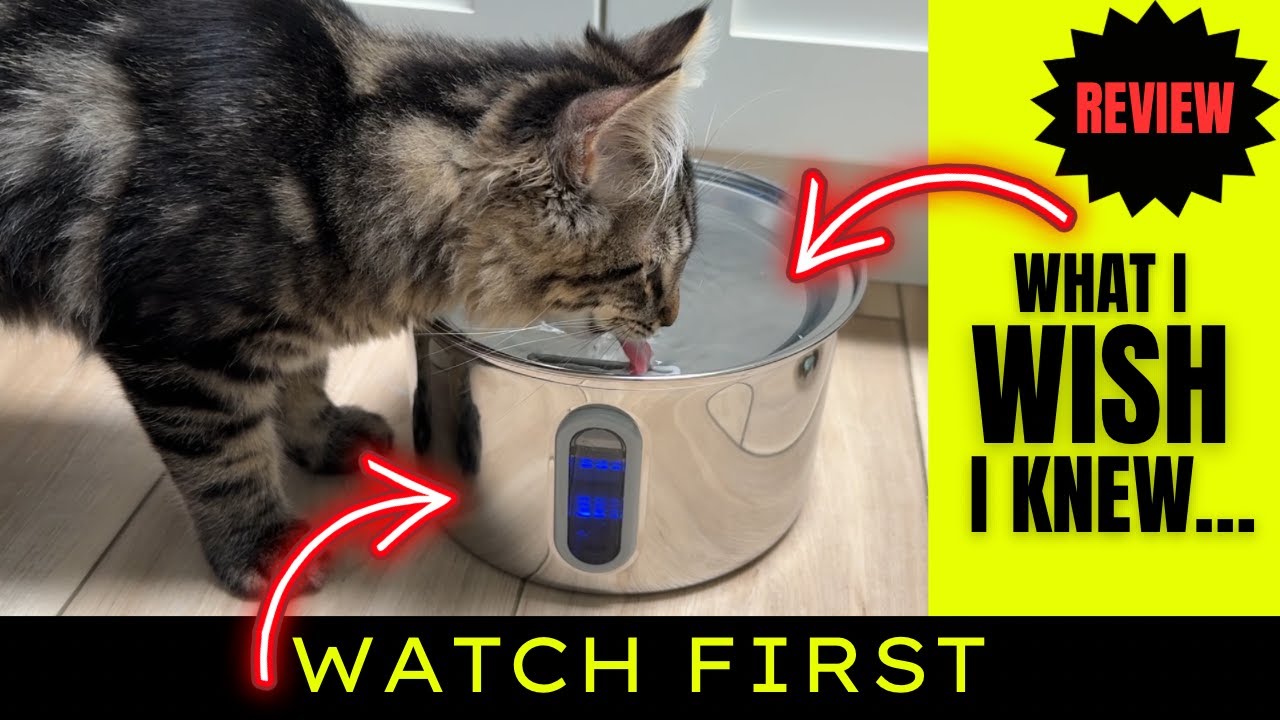 Amazon Finds - Automatic Cat Filtered Water Dispenser - Product Review - Cat Finds