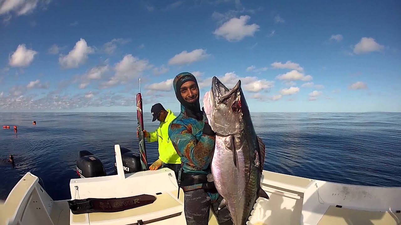spearfishing in madagascar 2013