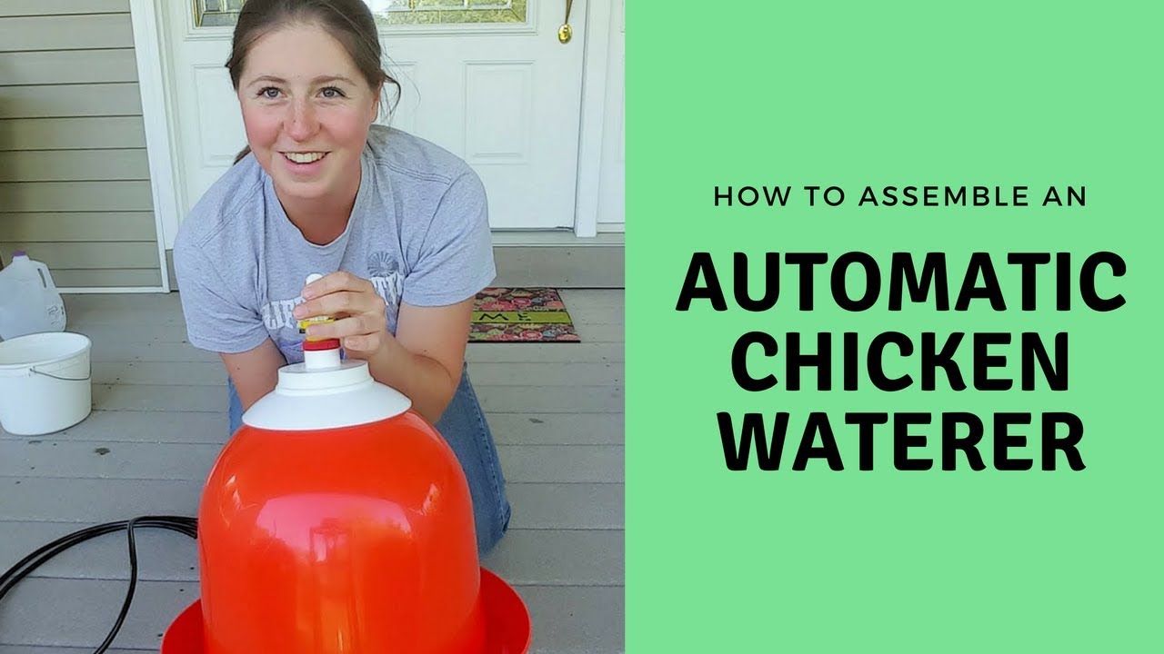 How to Assemble a Bell-Matic Poultry Waterer