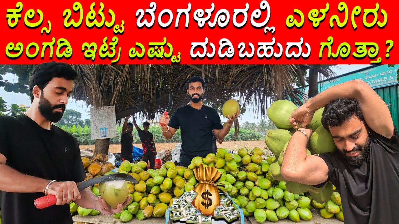 ಕೆಲ್ಸ ಬಿಟ್ಟು ಬೆ೦ಗಳೂರಲ್ಲಿ ಎಳನೀರು🌴🌴  ಅ೦ಗಡಿ ಇಟ್ರೆ ಎಷ್ಟು ದುಡಿಬಹುದು ಗೊತ್ತಾ?🤑💰💸|| 1 Joint Kannada