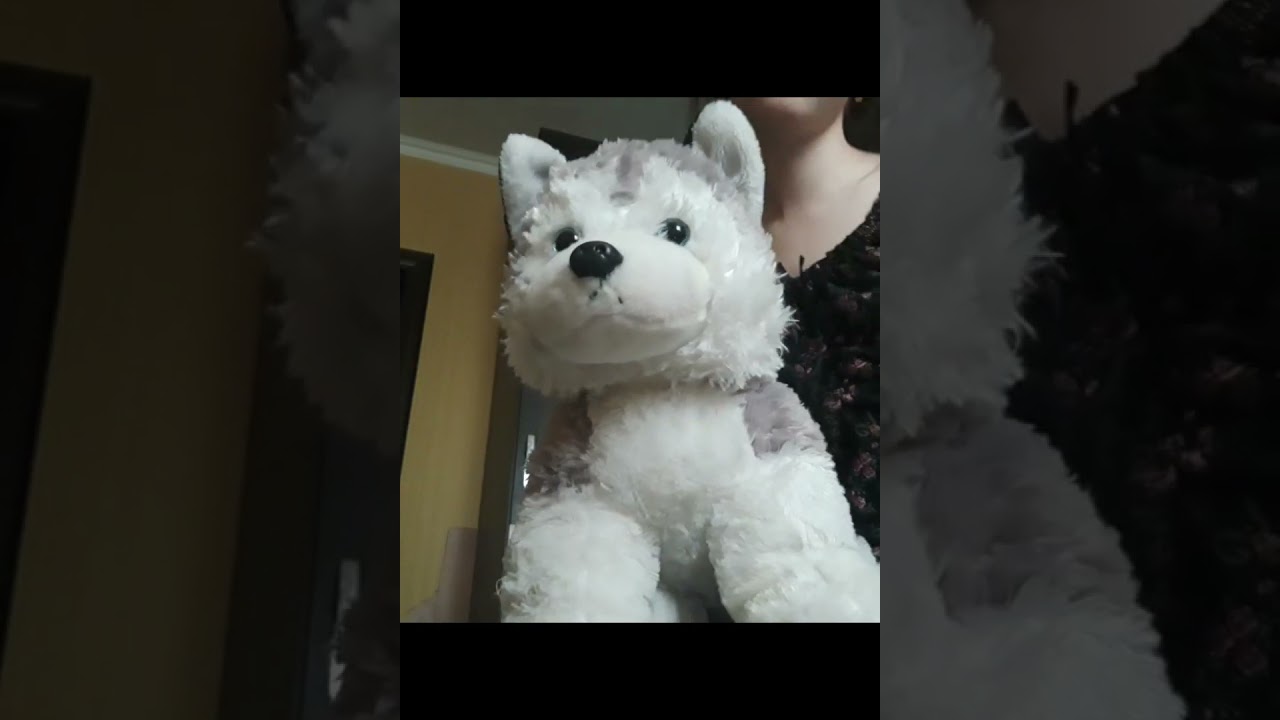 влог дня с дикси!🐾 [прогулка в зоопарк,лес]-plush dixie🐾
