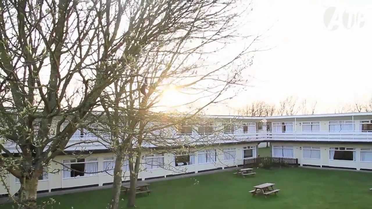 ATP curated by TV On The Radio - mini documentary