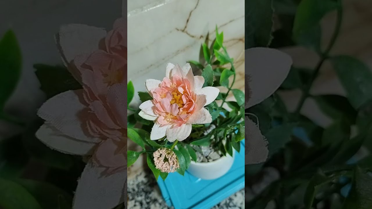 مرحبا بالمتتبعين أسݣاس أمباركي سنة أمازيغية سعيدة 2976