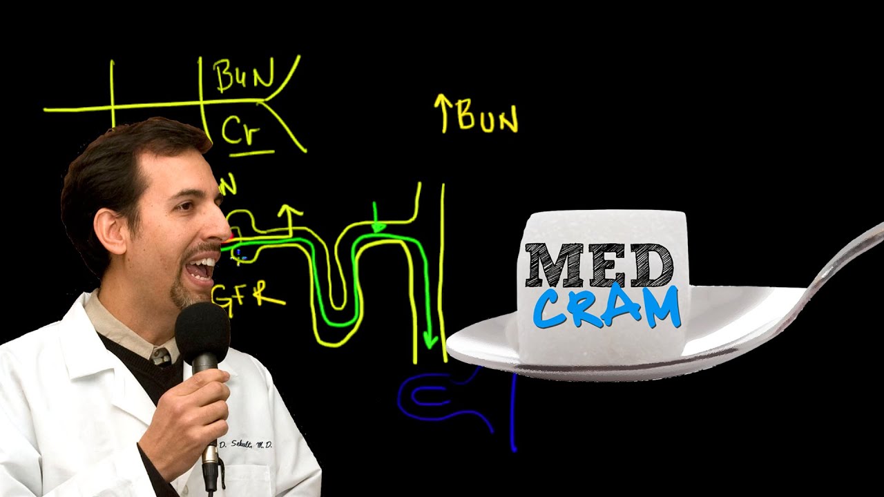 Acute Renal Failure Explained Clearly by MedCram.com | 2 of 3