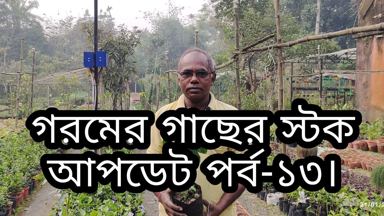 গরমের কিছু গাছের স্টক আপডেট পর্ব-১৩। Summer plants stock update part- 13.