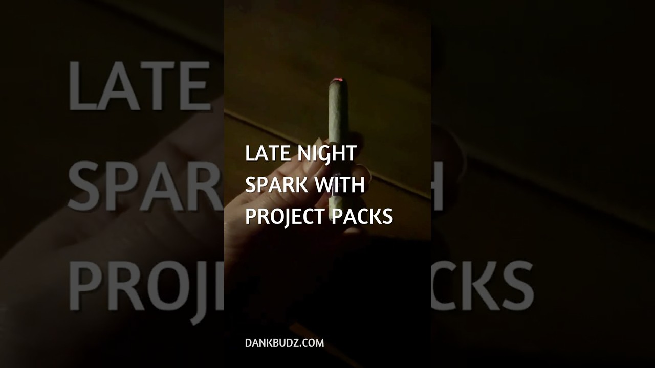 Project Packs Pre-Roll Review, Night Vibes, Cannabis Combo 🌙