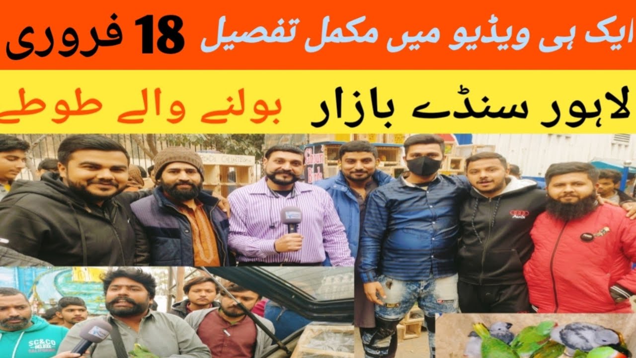Lahore Shalimar Sunday Birds Market Mai Bolny Waly Tooty🥳| Aj Logo ny Mandi Loot li😱| #ranapets