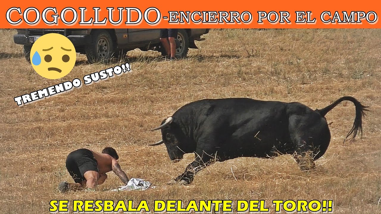 💥 RESBALON DELANTE DEL TORO😱👀-ENCIERRO POR EL CAMPO -  COGOLLUDO - 2025!!🌾🔥🔥