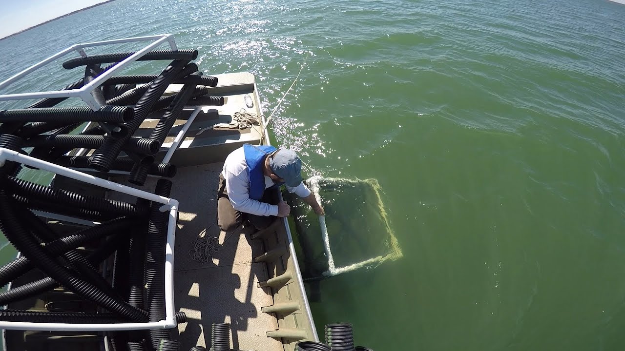Installing Fish Habitat Cubes in Kansas