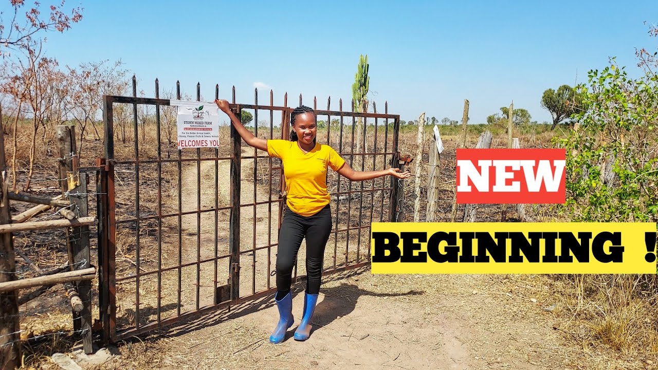 STOP PLANNING And START Your Farm NOW! | Millionaire's Mindset
