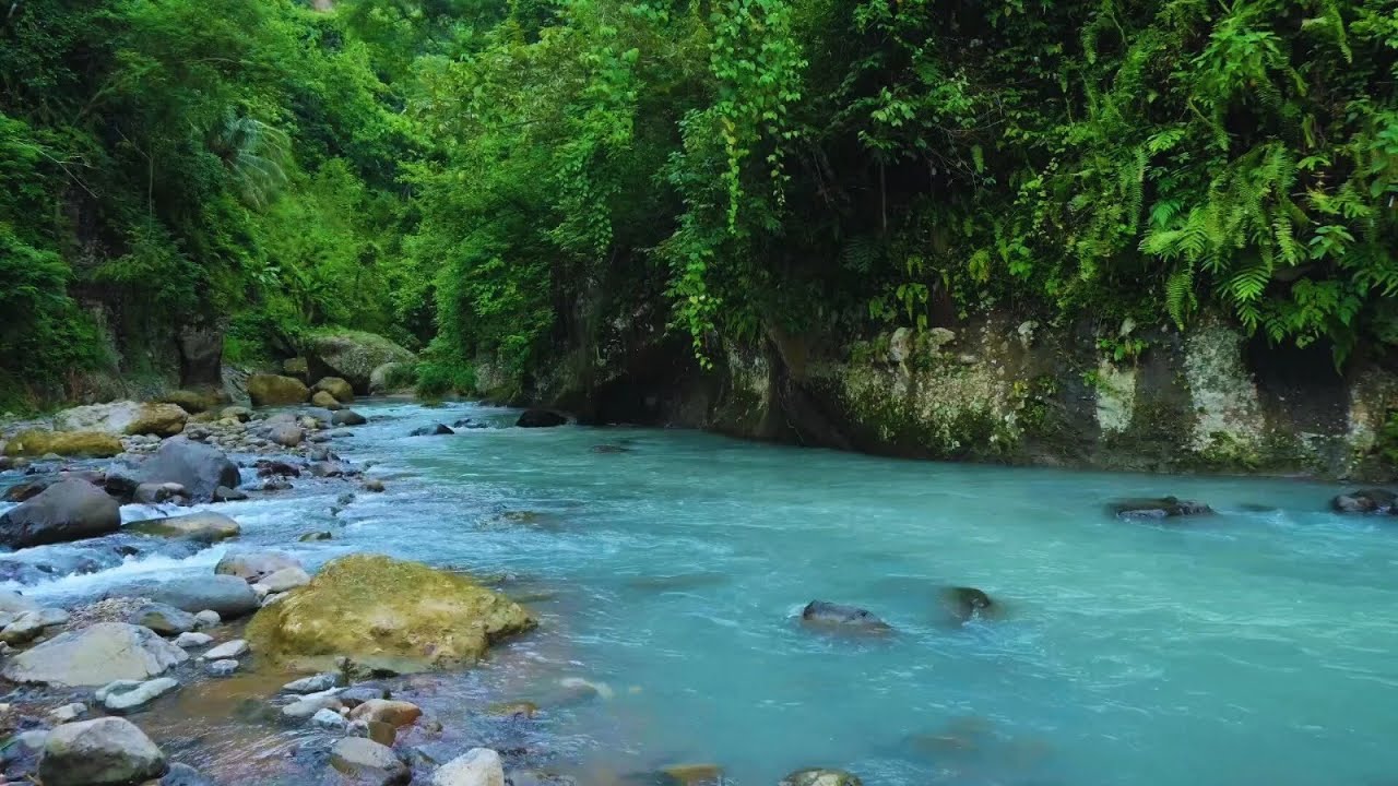 Calming Water Sounds – Peaceful River Stream Ambience for Deep Relaxation