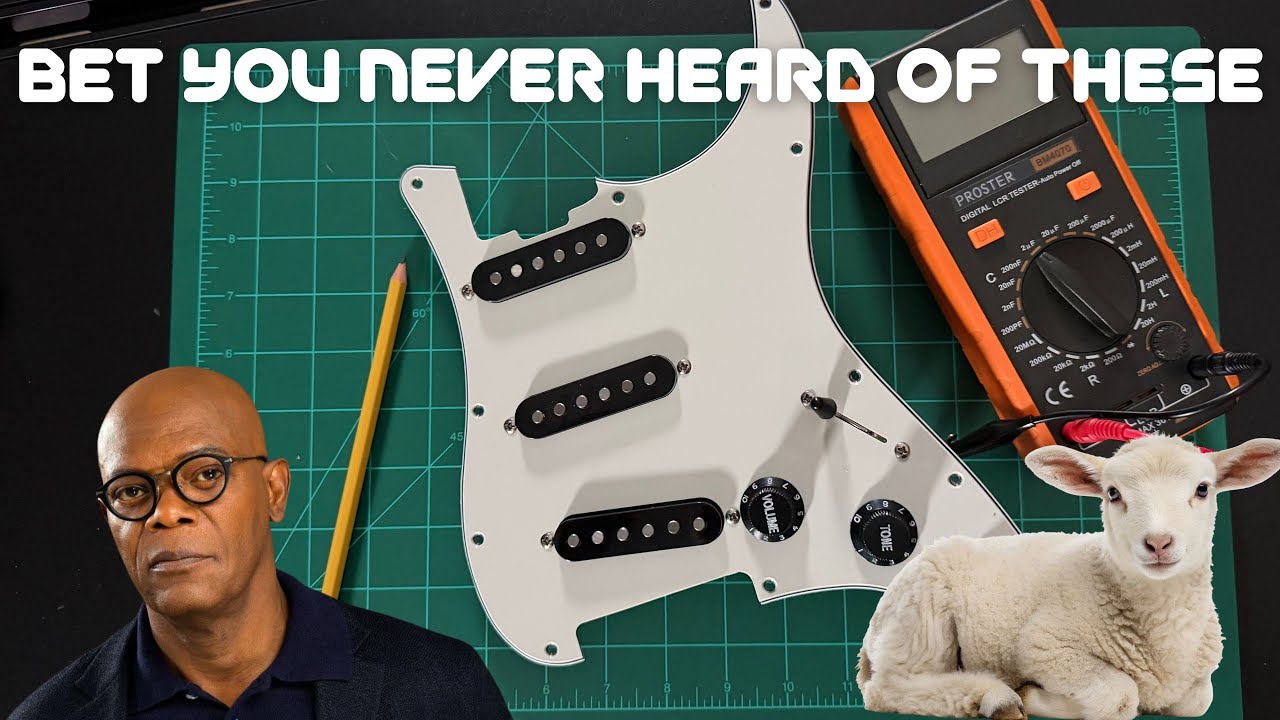 BEST Loaded Pickguard UNDER $75 Made by Lamsam