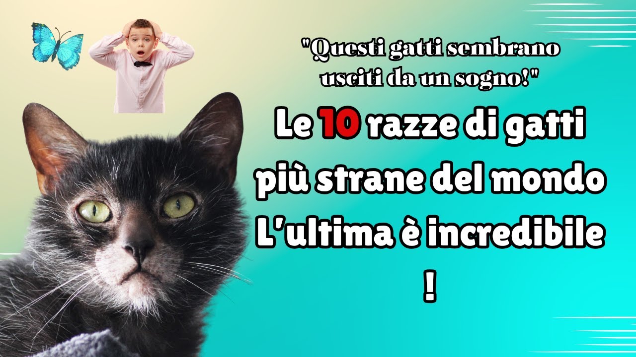 I 10 Gatti Più Strani del Mondo – Razze Incredibili e Uniche! 🐱😲✨