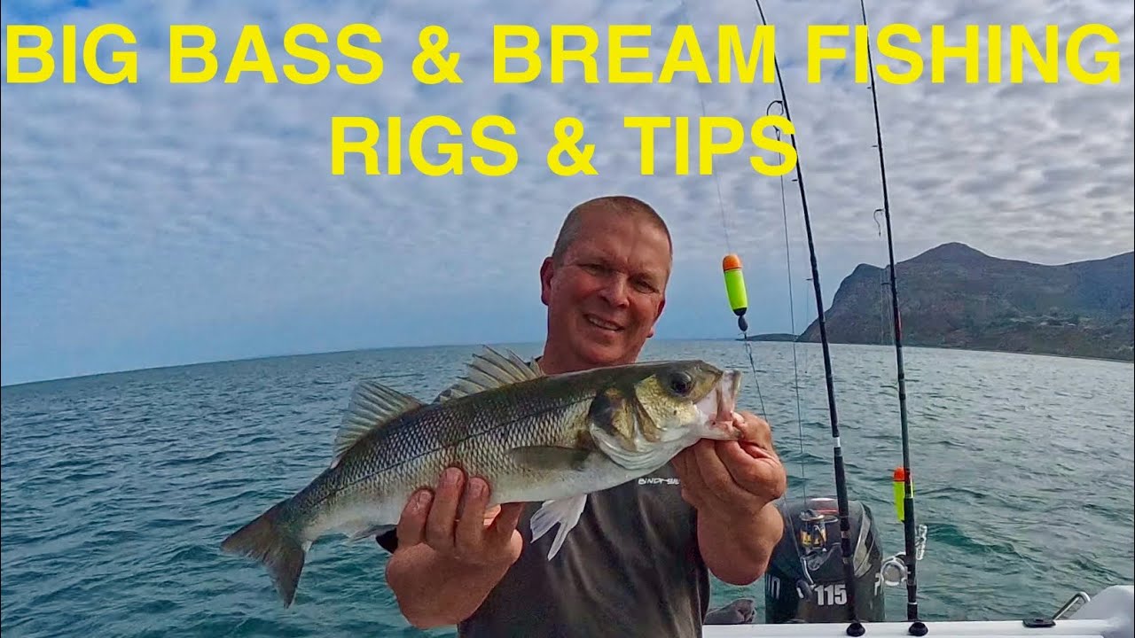 Sea fishing uk bass & bream