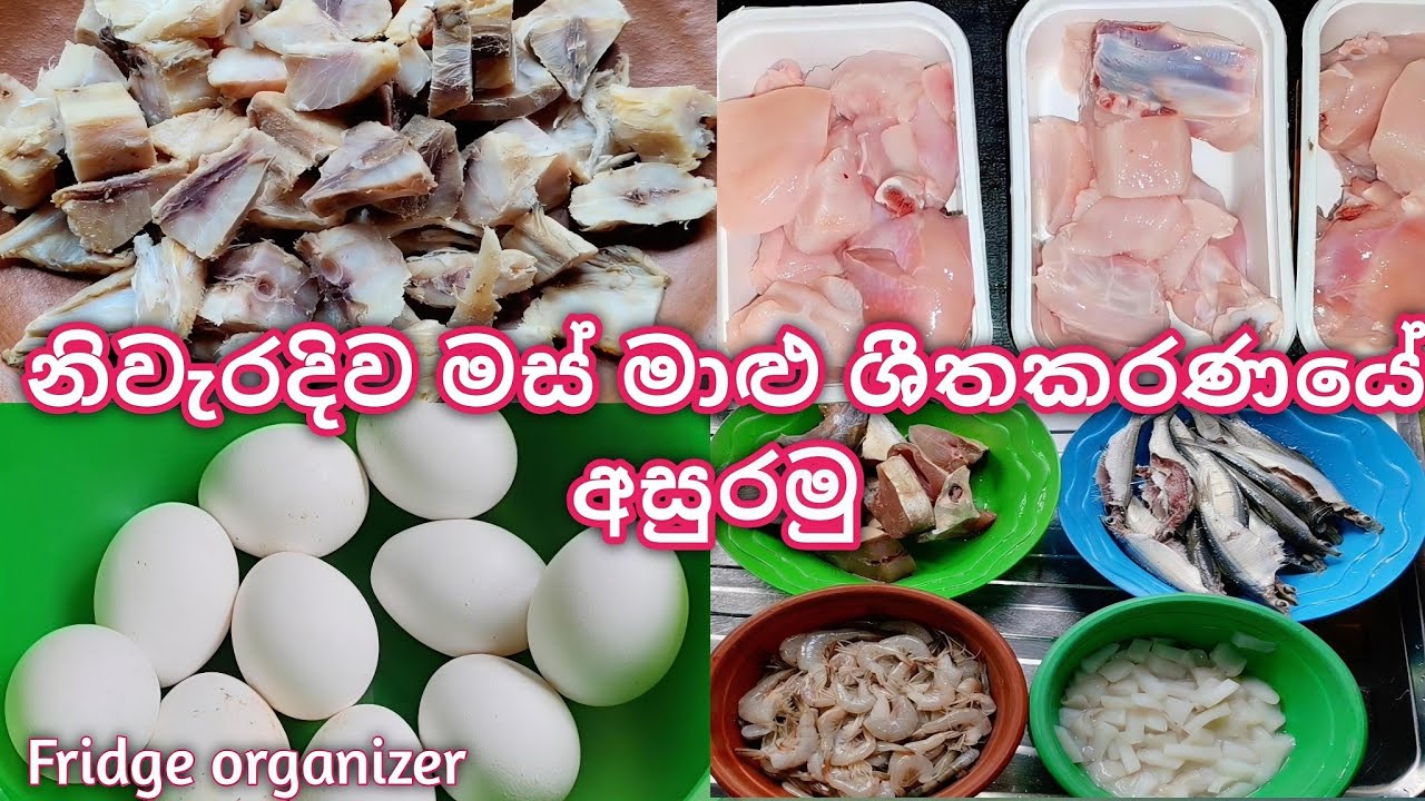 නිවැරදිව මස් මාළු ශීතකරණයේ අසුරමු 🍗🥩🍤|මේ විදිහට කරොත් කාලය මුදල් දෙකම ඉතුරුයි 💥|fridge organizer 