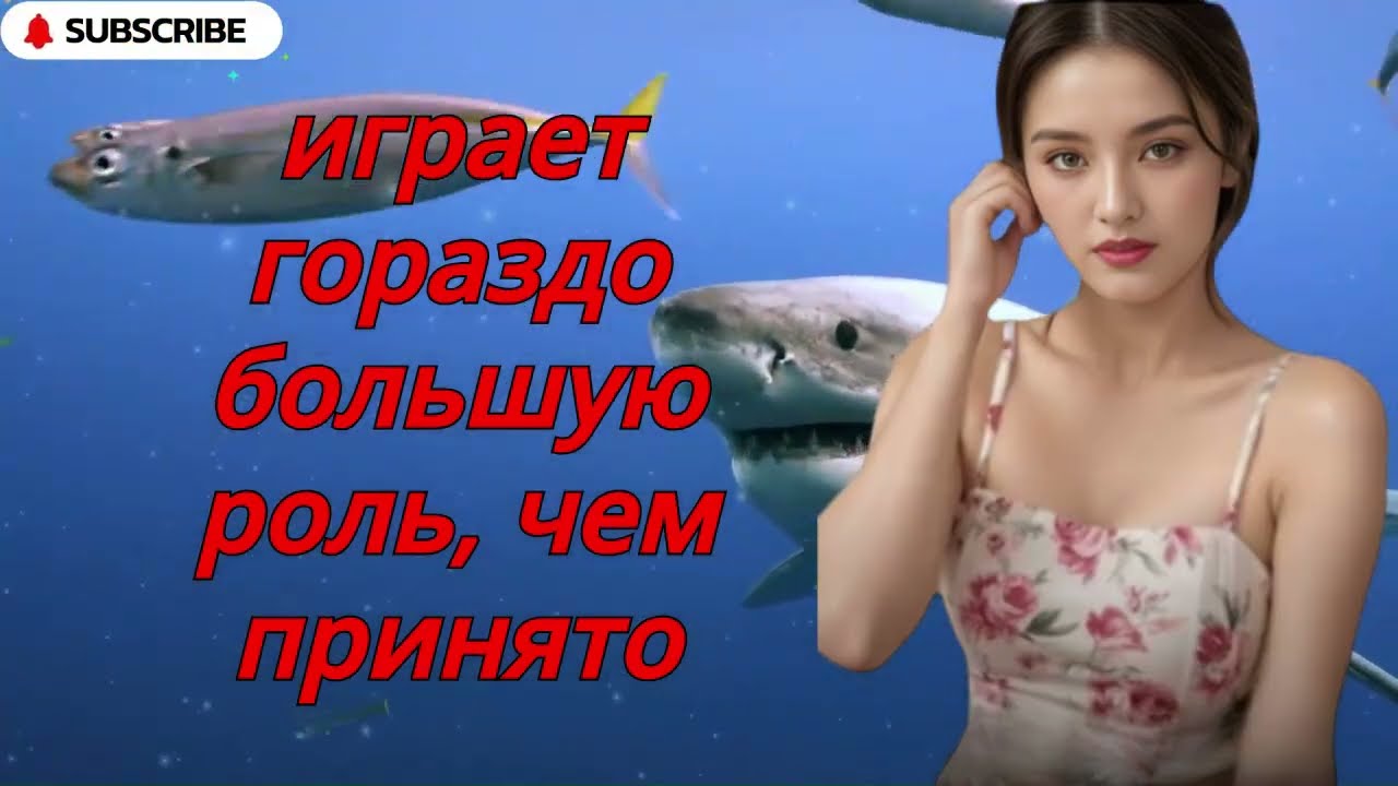 99% мужчин этого не делают Женщины это любят! Женская психология