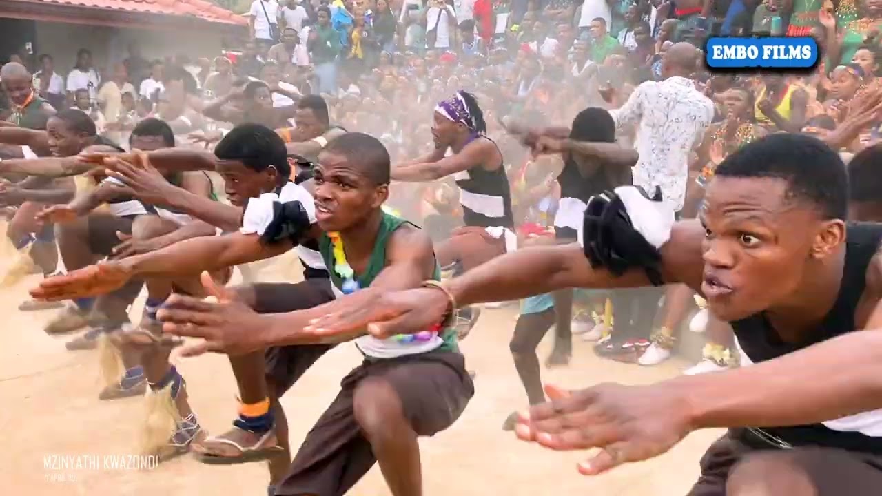Ezika Mthakashana ziwulimaze kakhulu umhlabathi KwaZondi buka uthuli | Ay kubalekwe kakhulu la ay 🙌