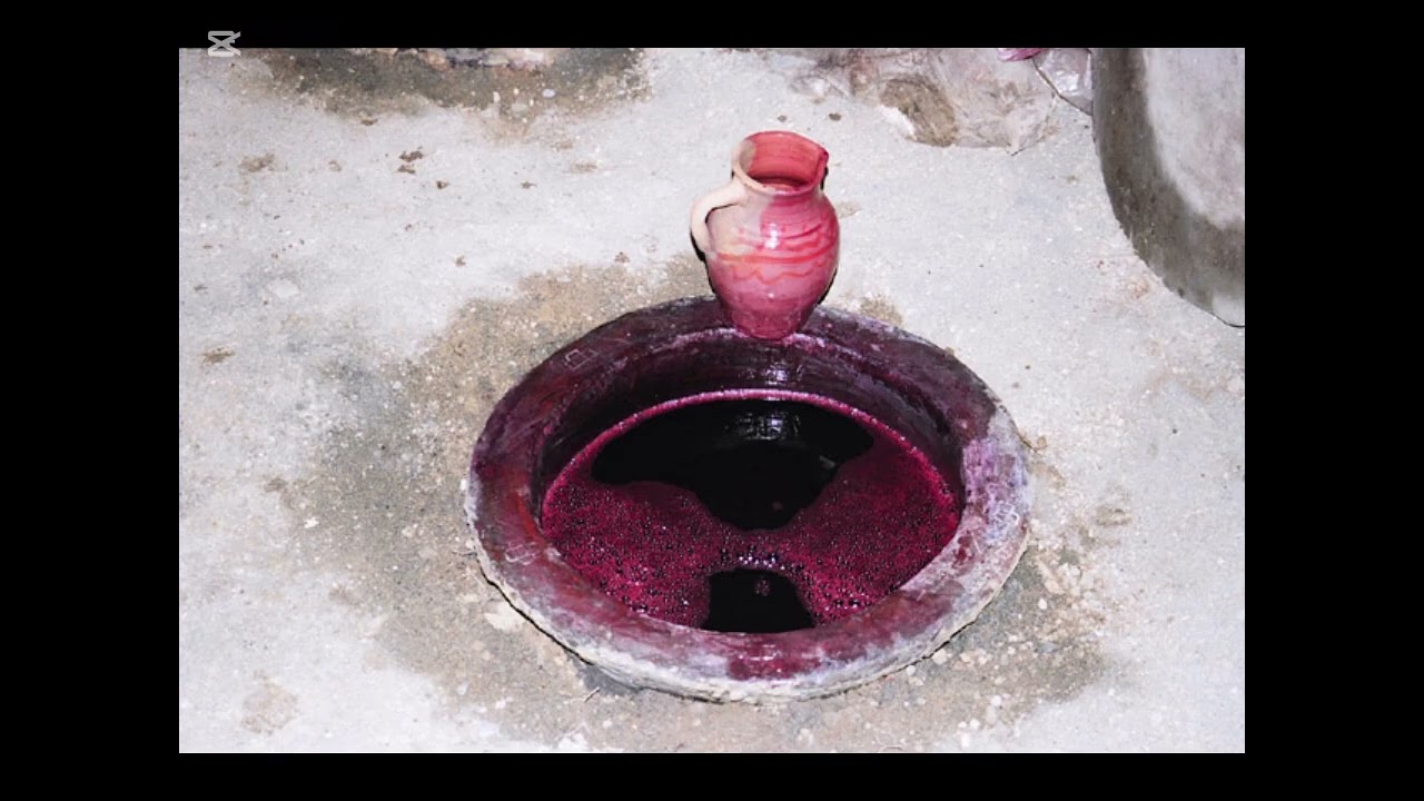 8 თებერვალი, 2026