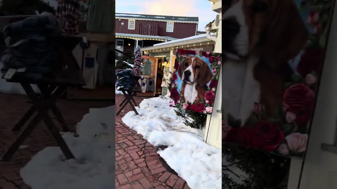 Cold peddlers village walk 