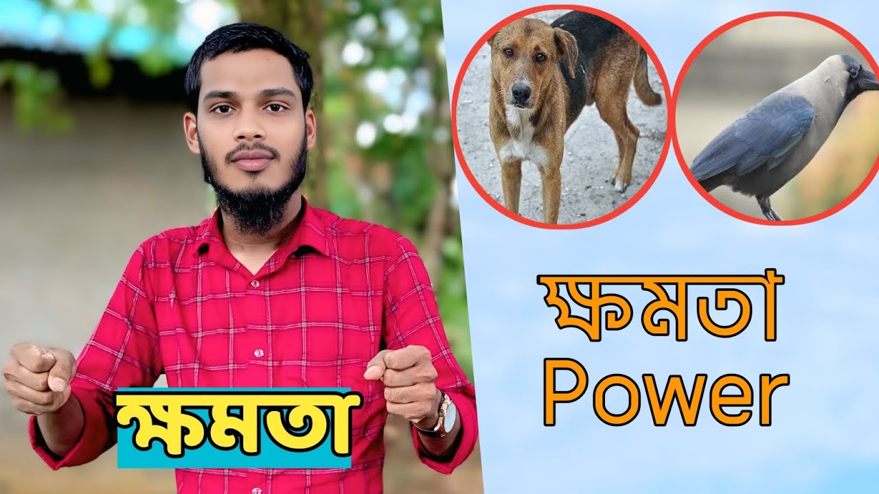 ক্ষমতার বল হদিন থাই। যারার হতায় দেশ তারা আইজ্যা তারা গিয়ে ধাই।#chittagong #song #viralsong