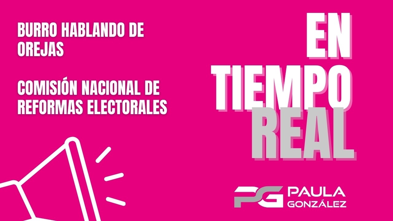 En Tiempo Real | Burro hablando de orejas - Comisión Nacional de Reformas Electorales