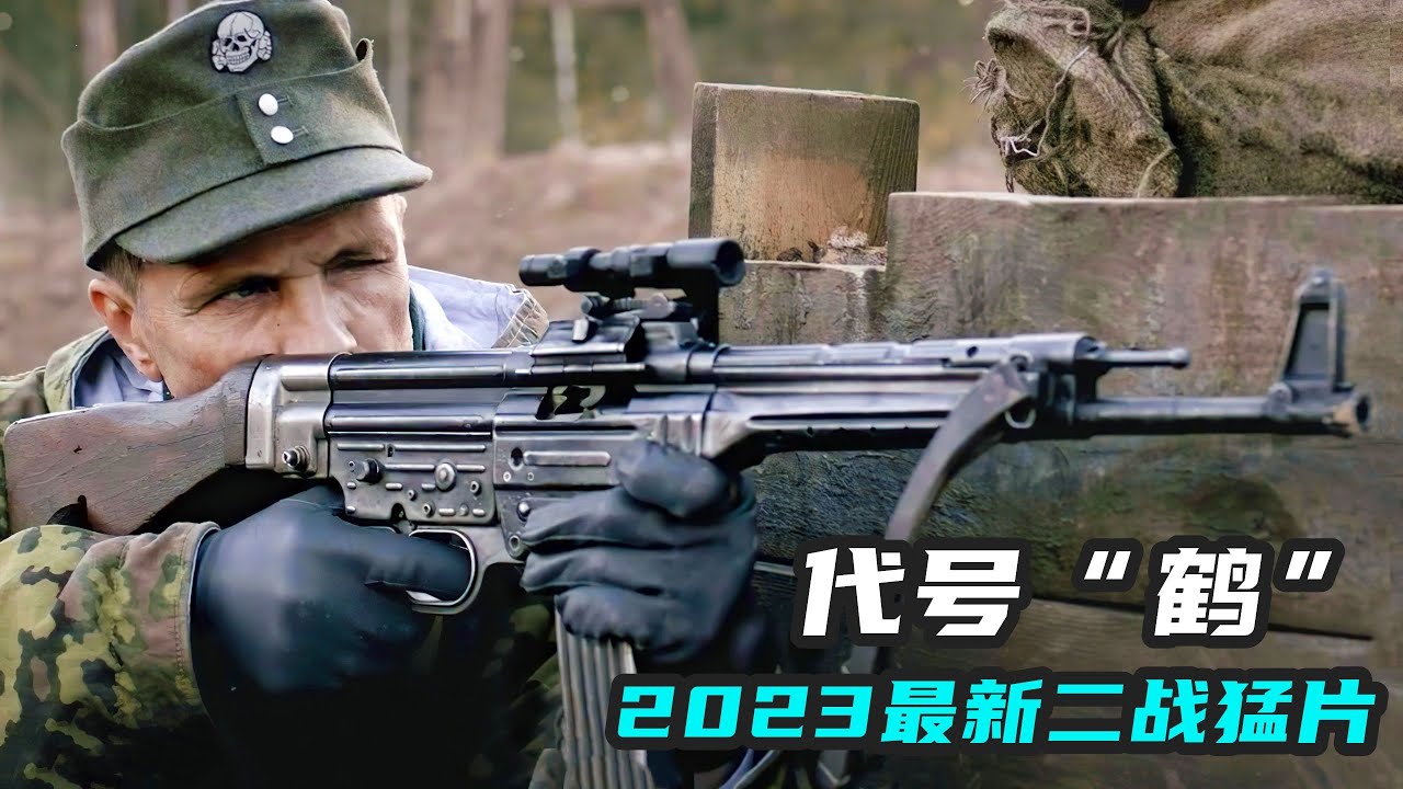 2023最新二戰猛片《代號鶴》，全程緊張刺激無尿點，場面真實而震撼！