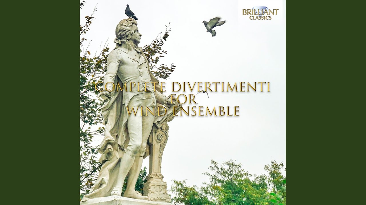 Divertimento No. 2, K. 439b: I. Allegro