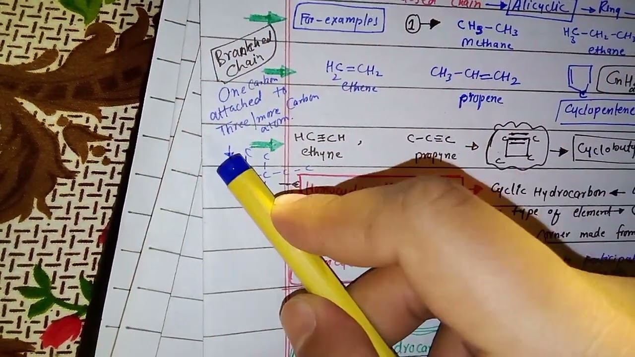 Lec#1 Basics Of Hydrocarbons Class 12 Chemistry 