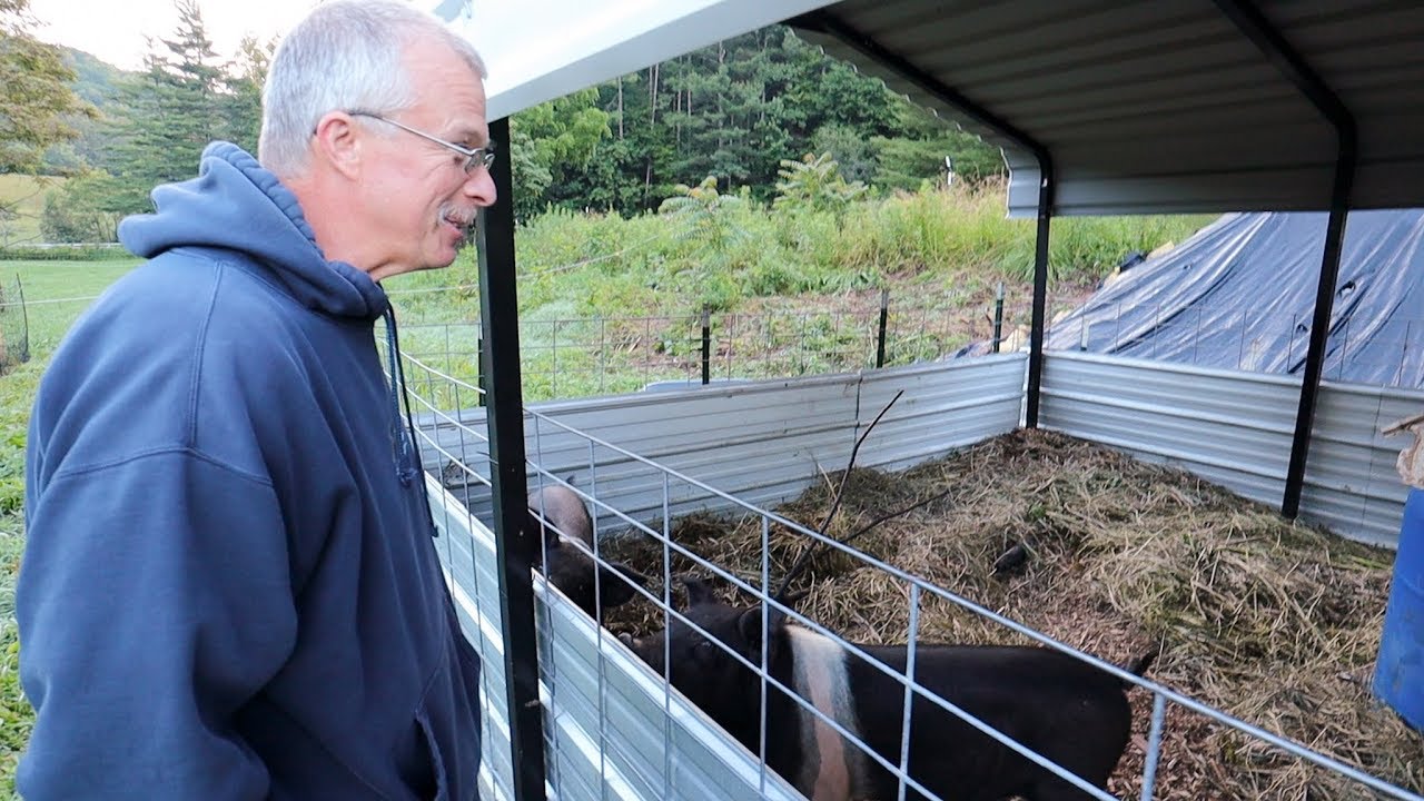 He couldn’t Believe this tiny PIG PEN Didn't Stink