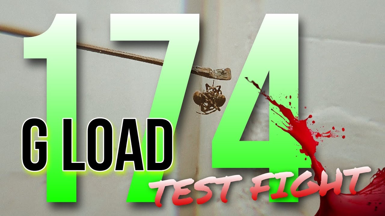 174 G LOAD TEST FIGHT