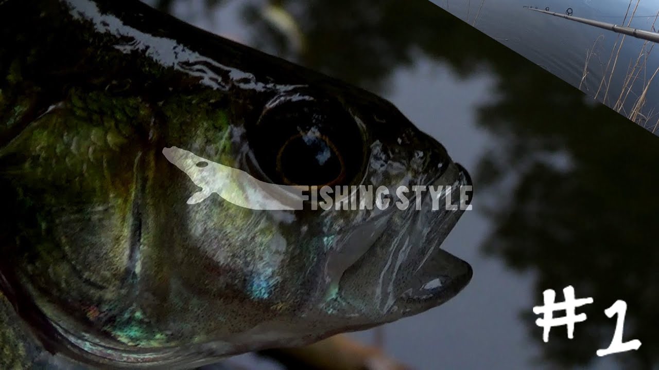 Fishing Style #1 - Met doodaas op Snoekbaars in de harde wind & Met kunstaas op Snoek