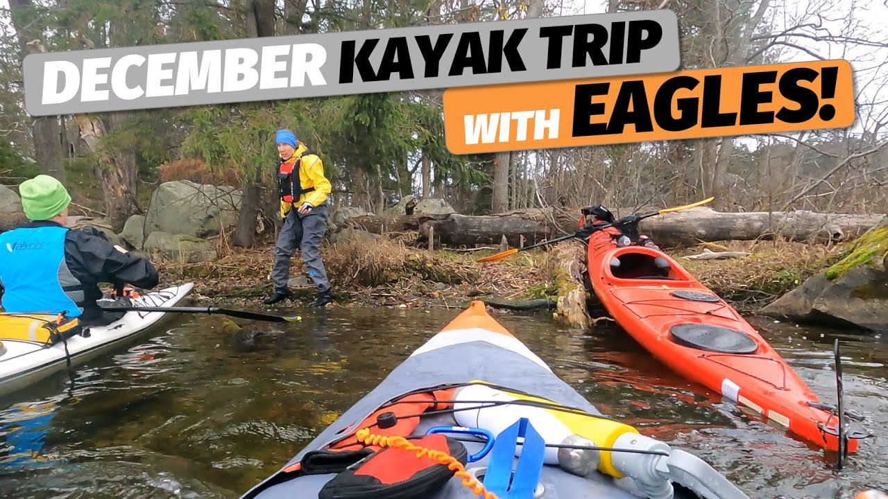Itiwit X500 + sea kayaks: eagle sightings and swans! December kayaking trip to Tallholmen, Stockholm