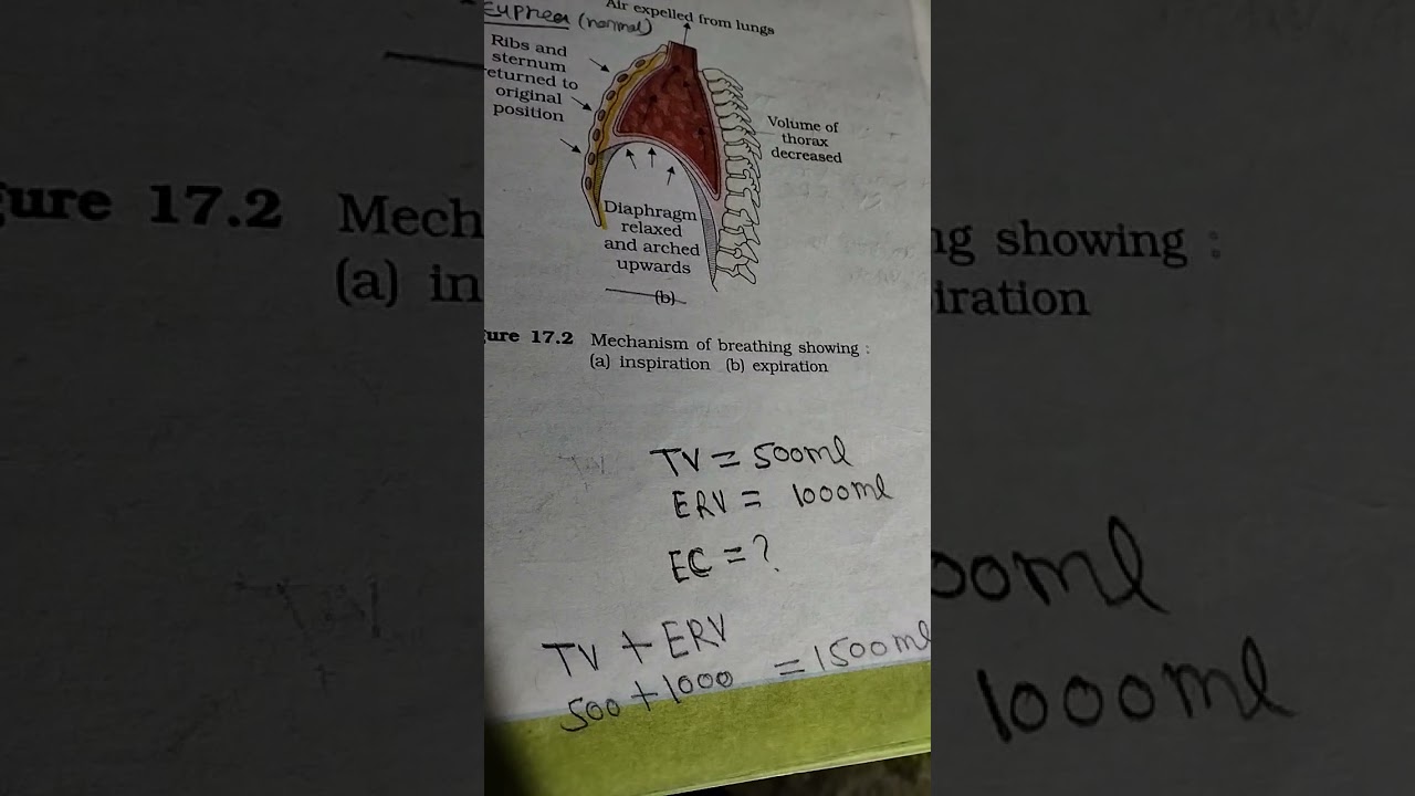 ||NEET 2021||Ncert Class 11 biology chapter 17||Neet aspirants|| 