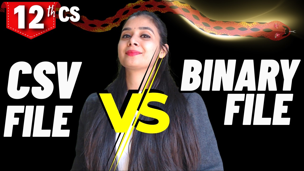 Difference Between CSV File and Binary File  | Class 12 CS