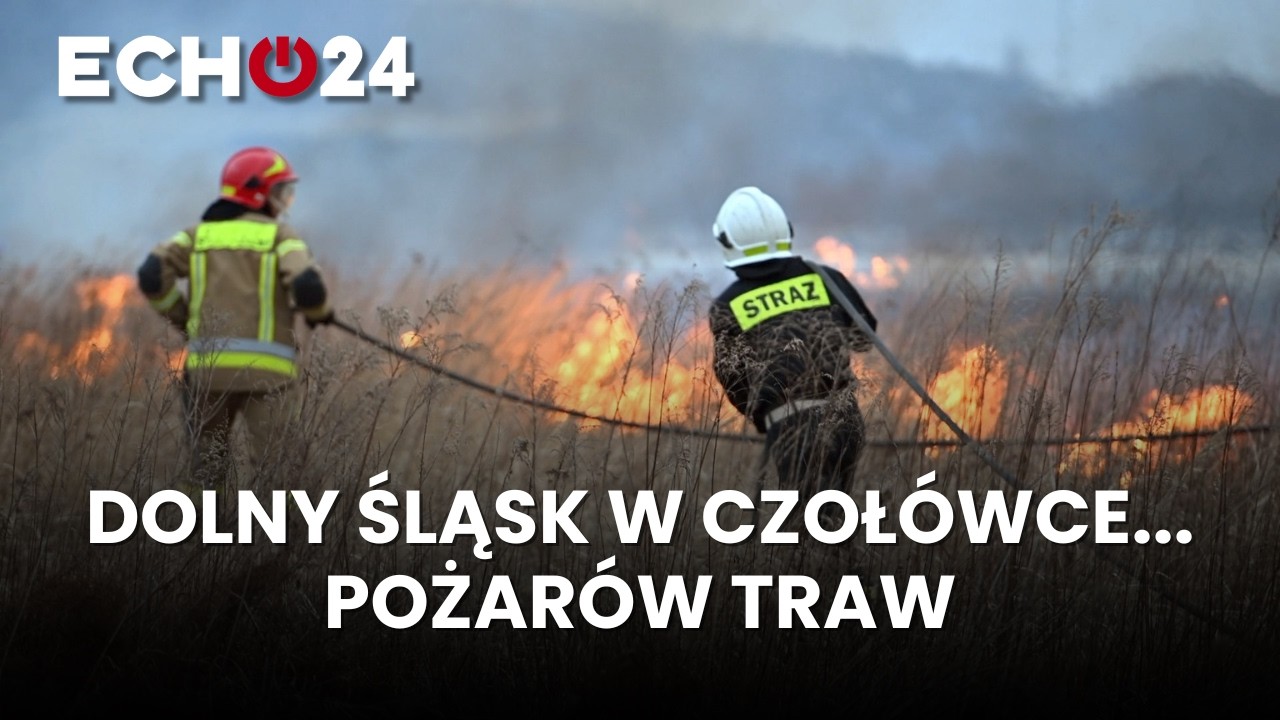 Dolny Śląsk w czołówce... pożarów traw