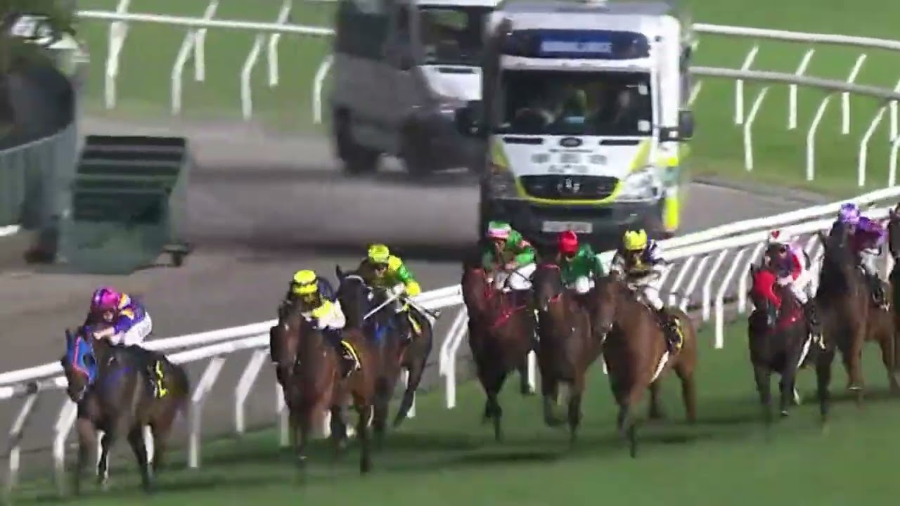 2025 11 12 R2 #東方寶寶 #潘明輝