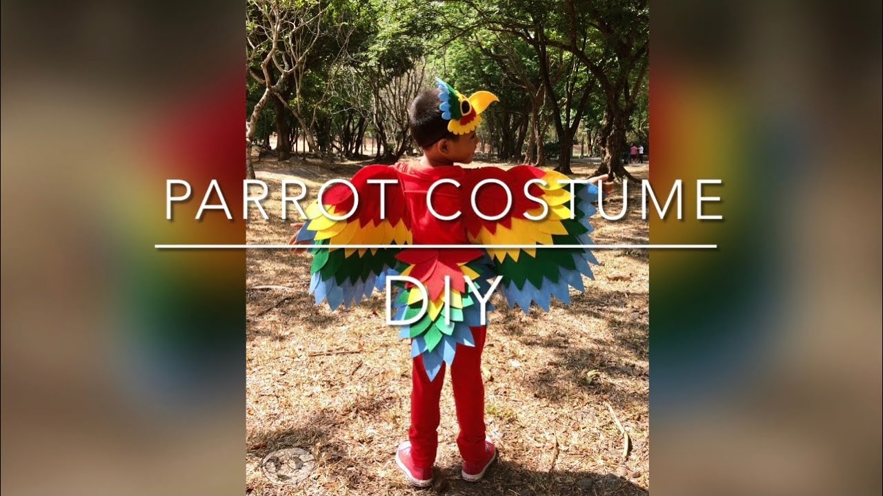 DIY Parrot Costume