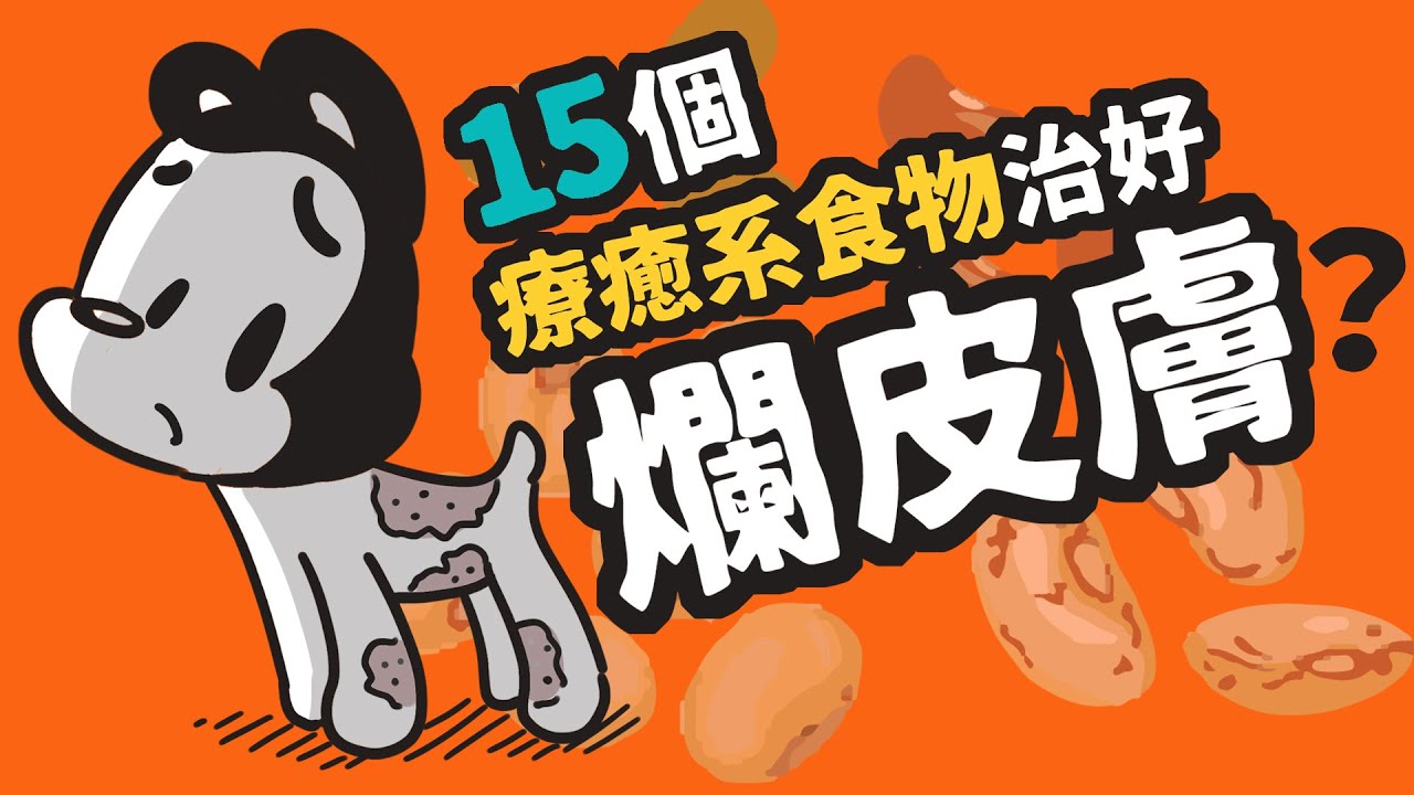 狗與鹿 ｜吃對15種對狗狗皮膚好的食物  | 狗狗暖知識