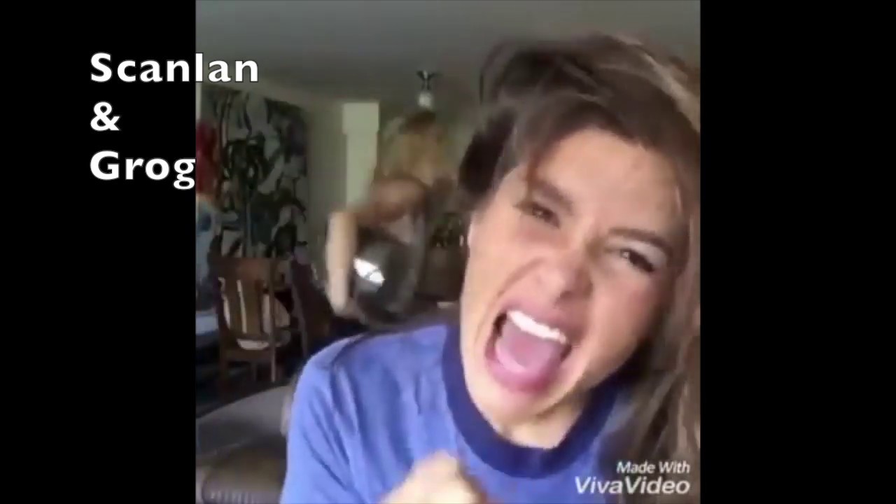 Vines that really Vox my Machina