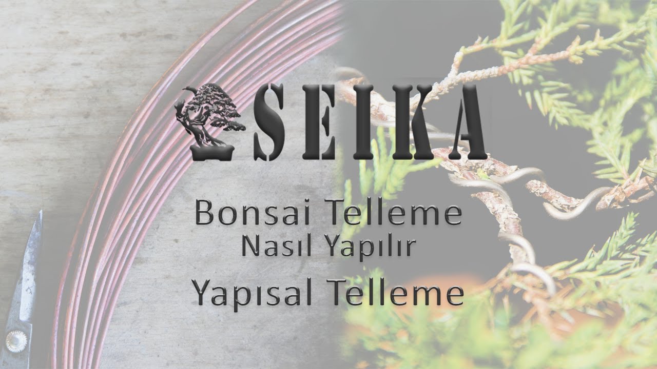 Bonsai Telleme Nasıl Yapılır - Yapısal Telleme