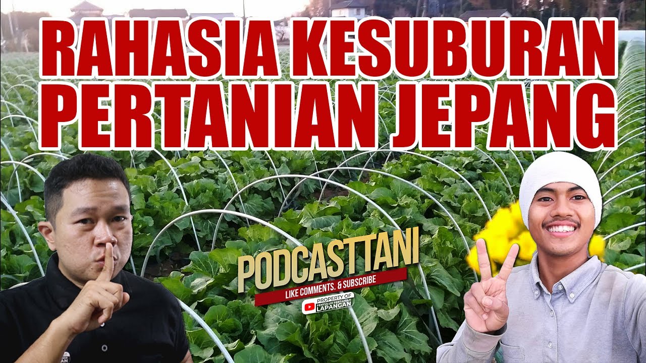RAHASIA KESUBURAN PERTANIAN DI JEPANG | PODCASTTANI BARENG ZAKARIA SIDIK