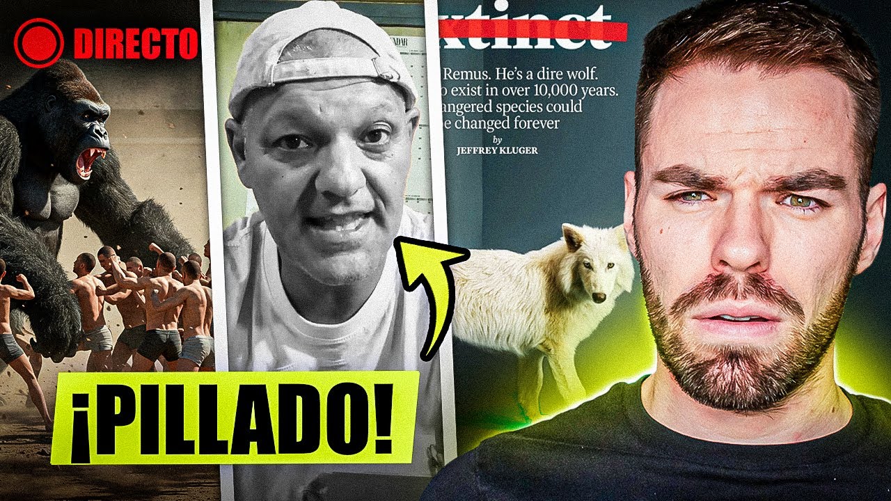 Hablemos de FRANK CUESTA, Gorila vs Humanos, Lobo terrible |ESPECIAL 100K🥳🥳