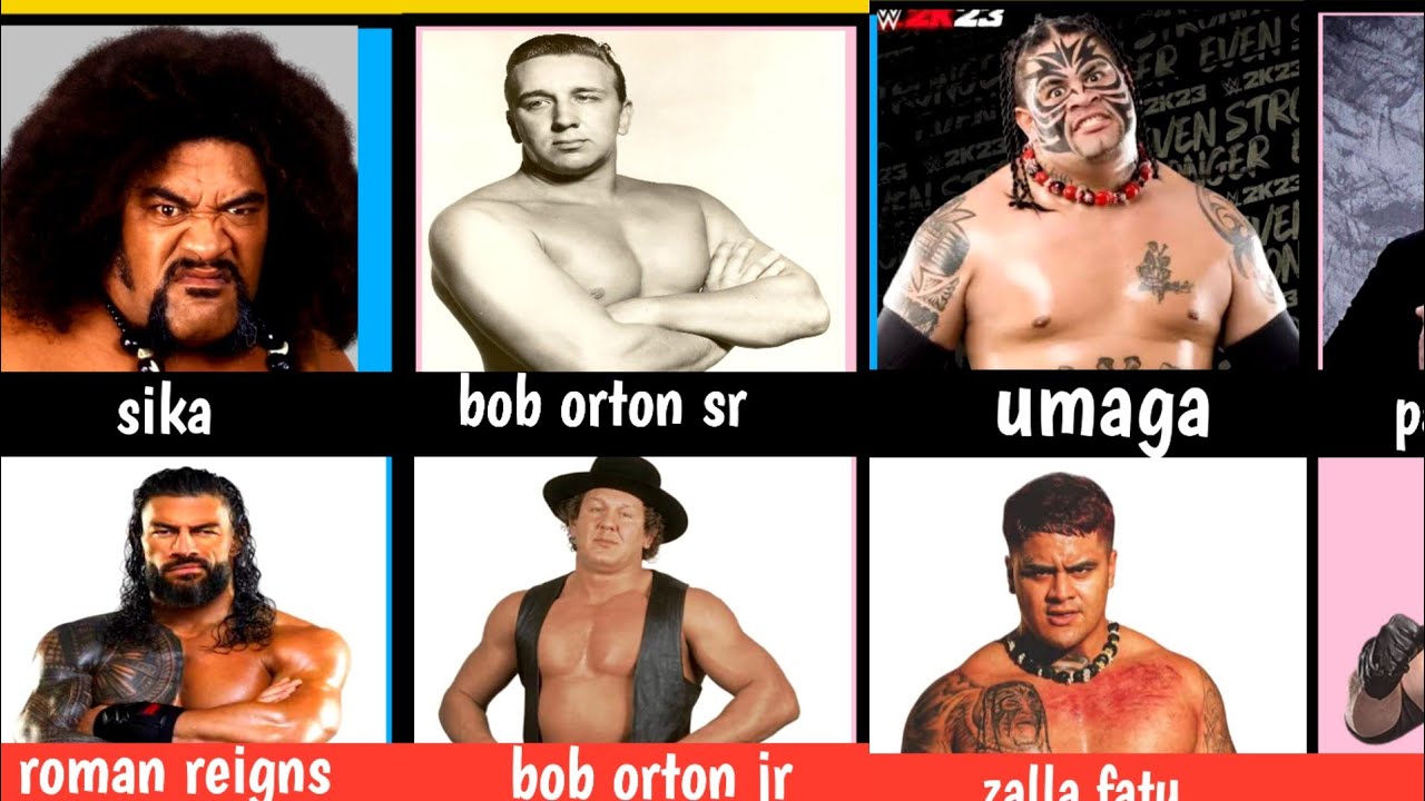 Comparison A father and his Son competing in the WWE 