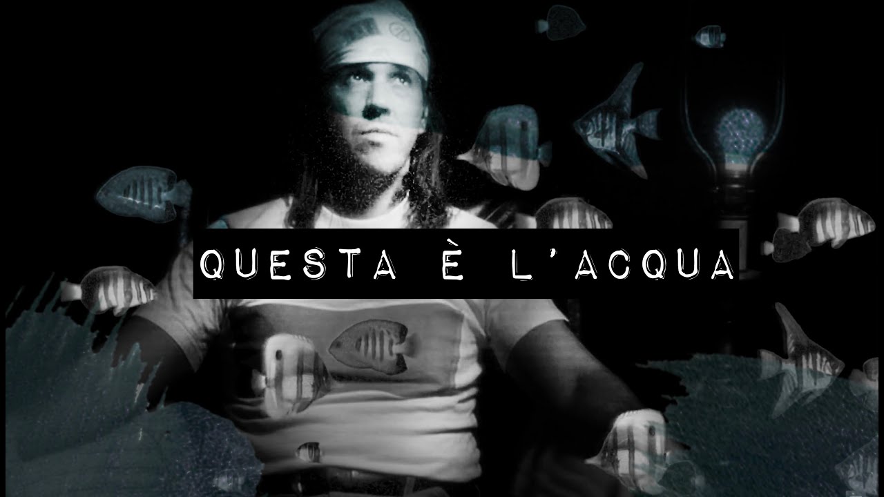 Questa è l'acqua - David Foster Wallace [AUDIOLIBRO]