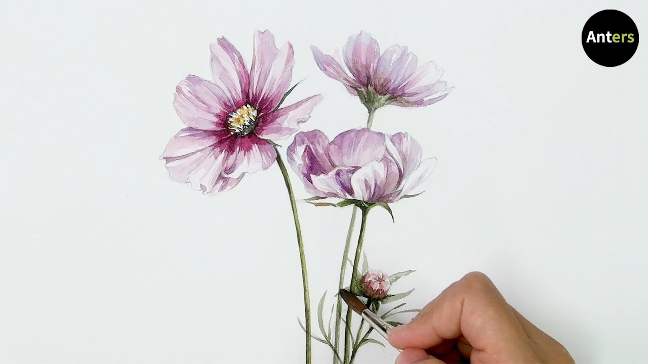 Painting Cosmos with Watercolor