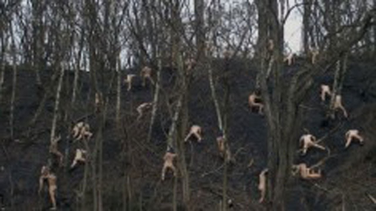 Un drone a p&eacute;n&eacute;tr&eacute; dans une for&ecirc;t interdite et film&eacute; ce que nul ne devait voir !