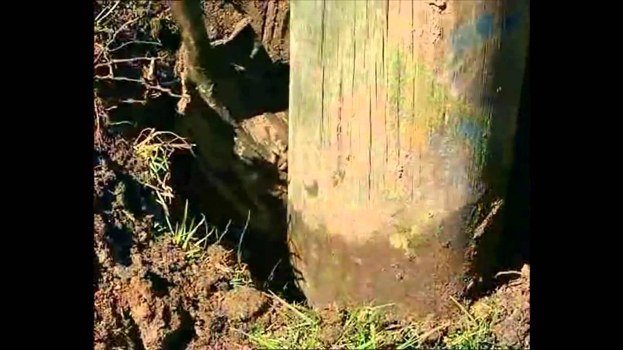 Polesaver (Part 1/2) - Introduction & Inspection Techniques