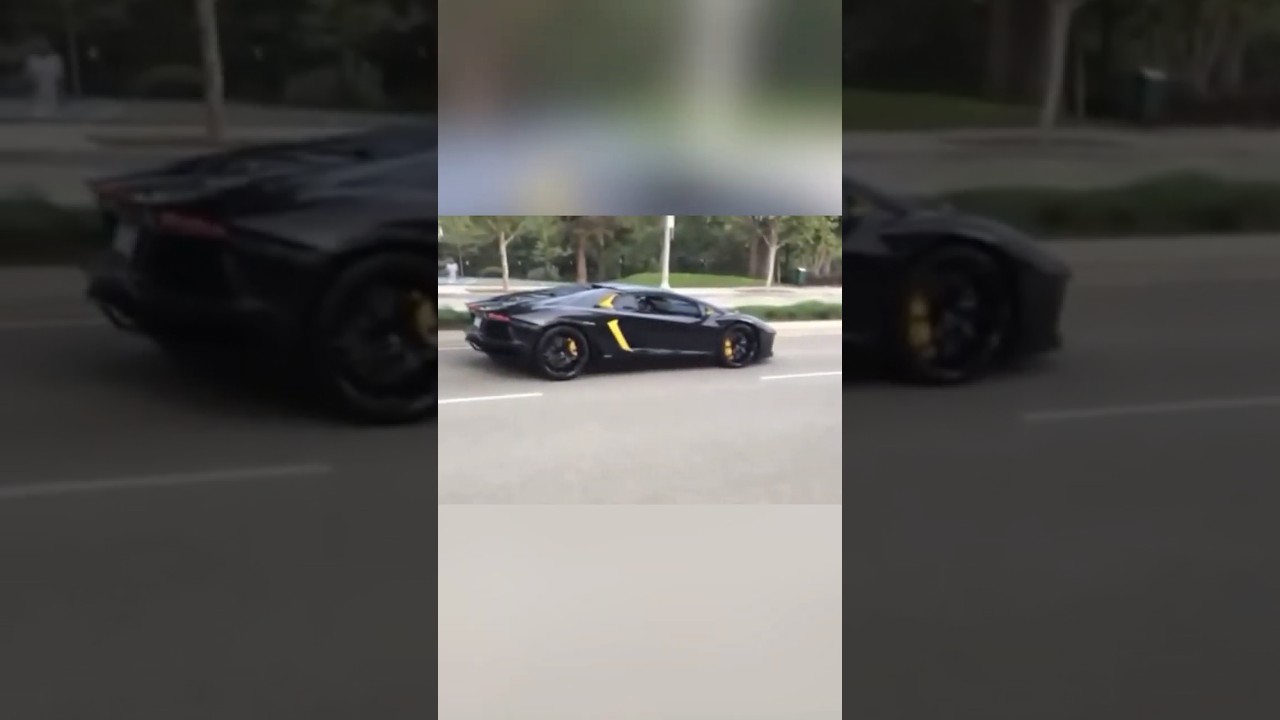 Guy throws rock at Lamborghini